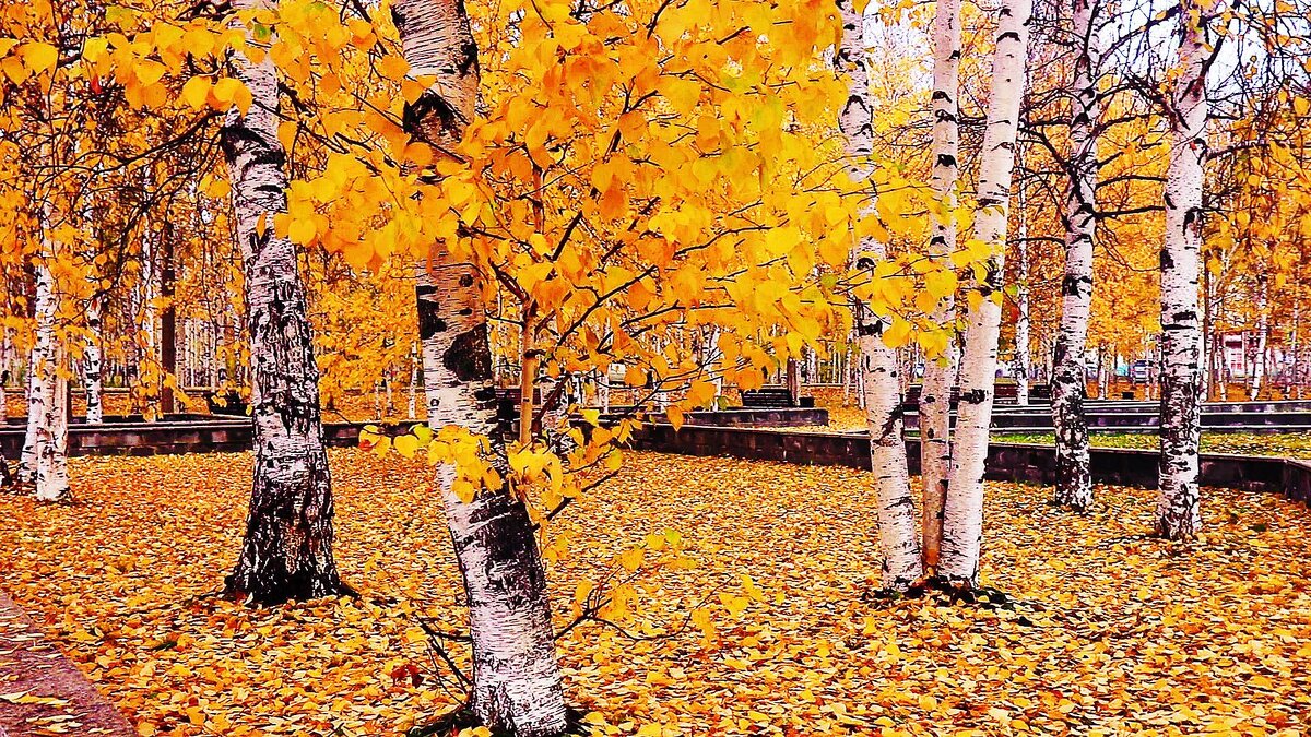 Сентябрь..художник! - Владимир 