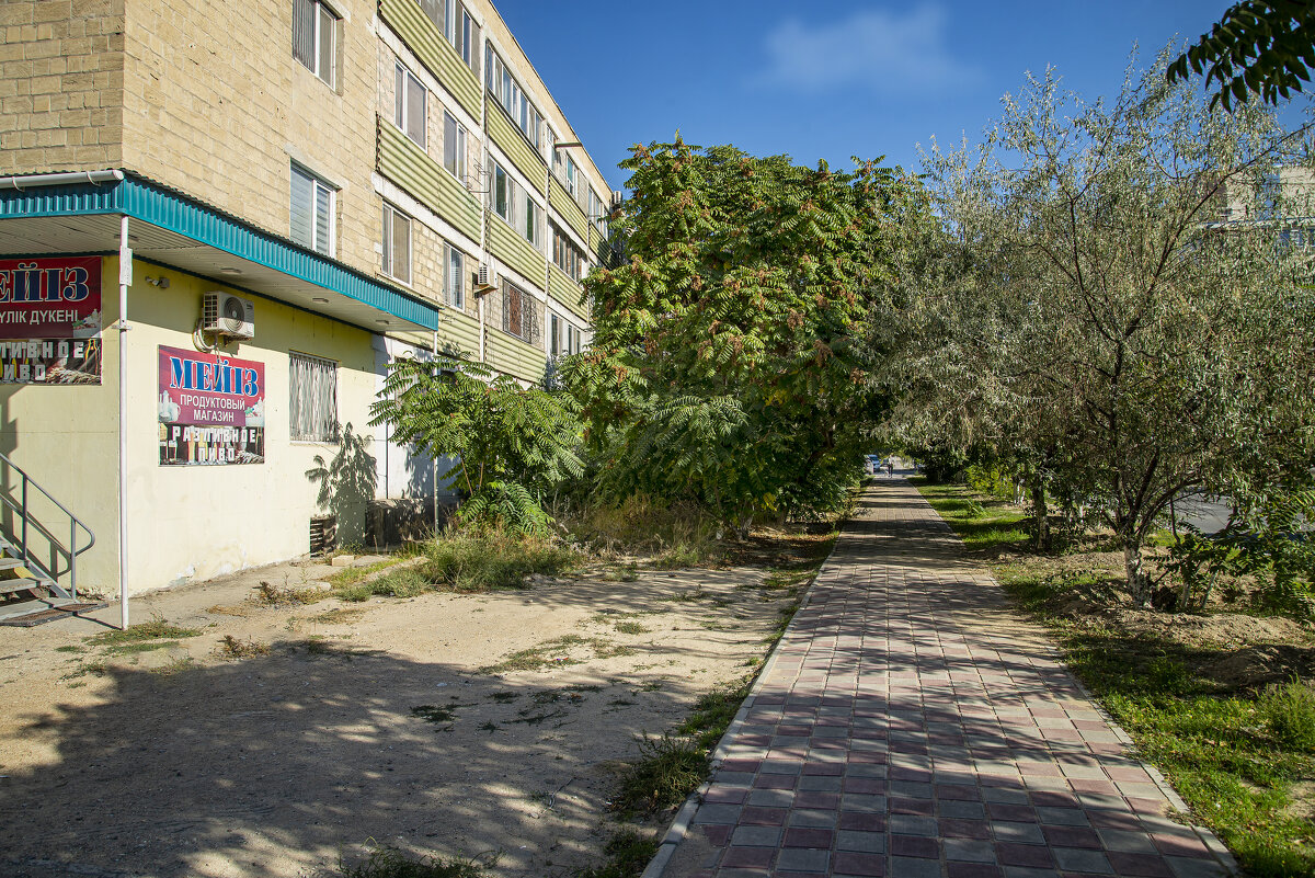 Аллея - Анатолий Чикчирный