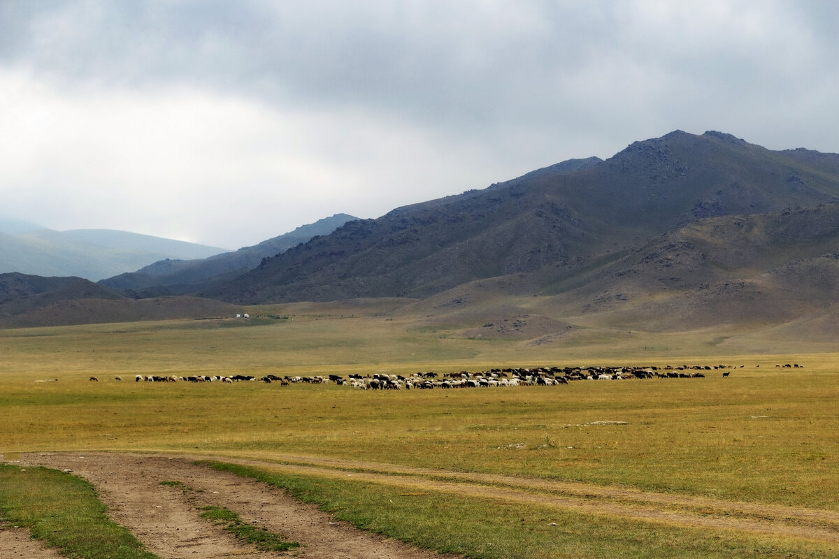 Гуртом,домой - LudMila 