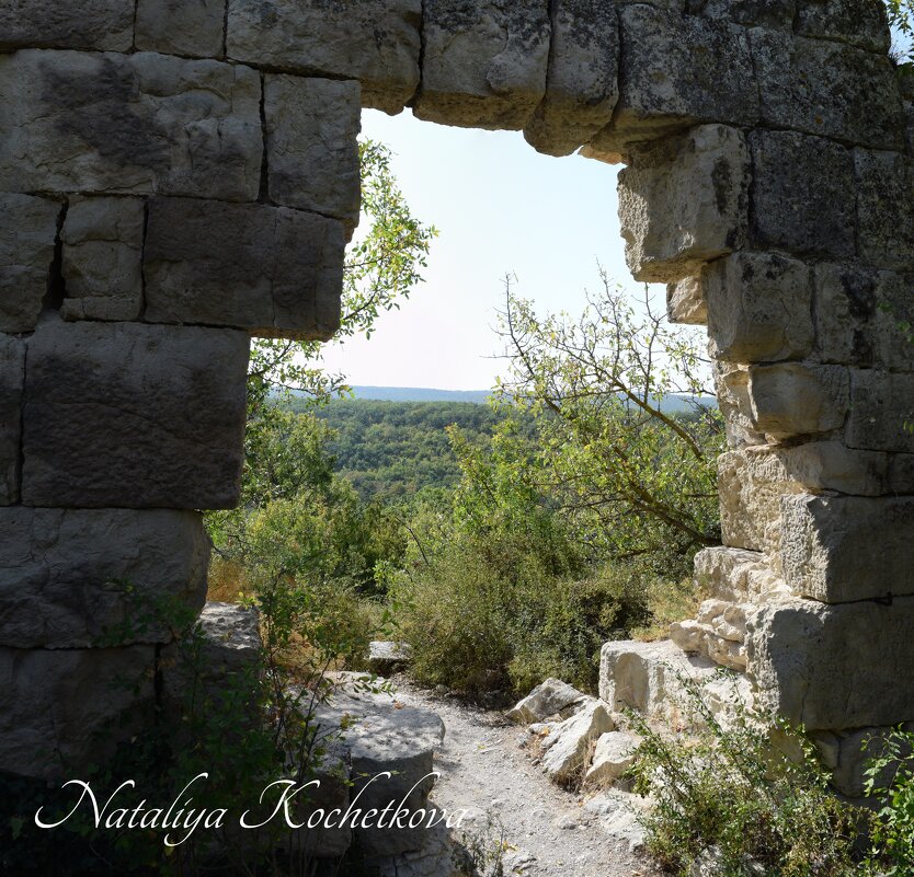 Природа Крыма - Amazing Cosmea