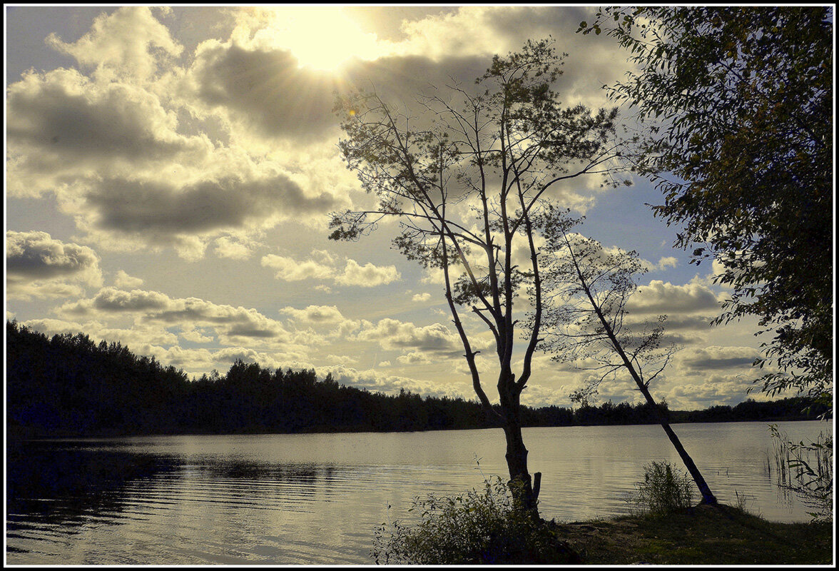 Светит но не греет - Aleksandr Gal