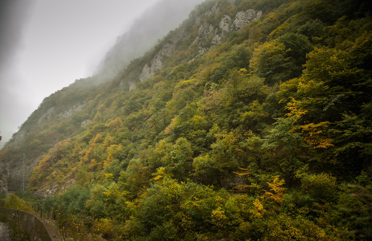 начальные краски осени - Батик Табуев