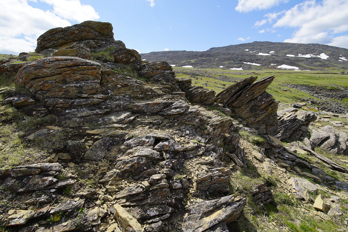 Дуниты... - Николай Гирш