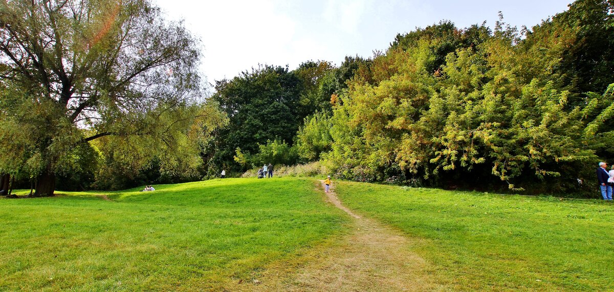 КОЛОМЕНСКОЕ - АЛЕКСАНДР 