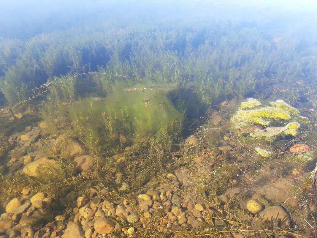 На Ангаре - Галина Минчук