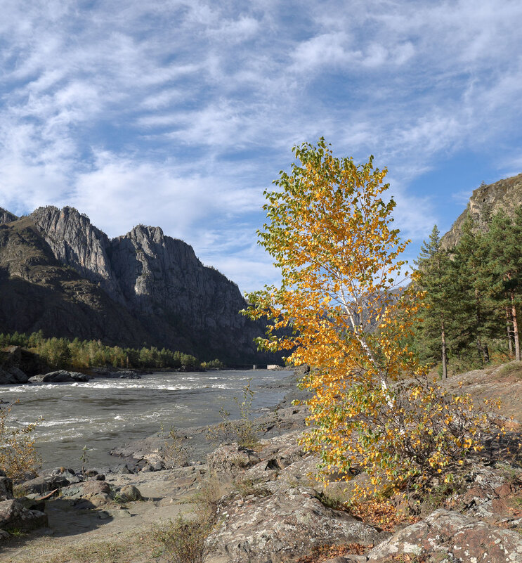 *** - владимир 