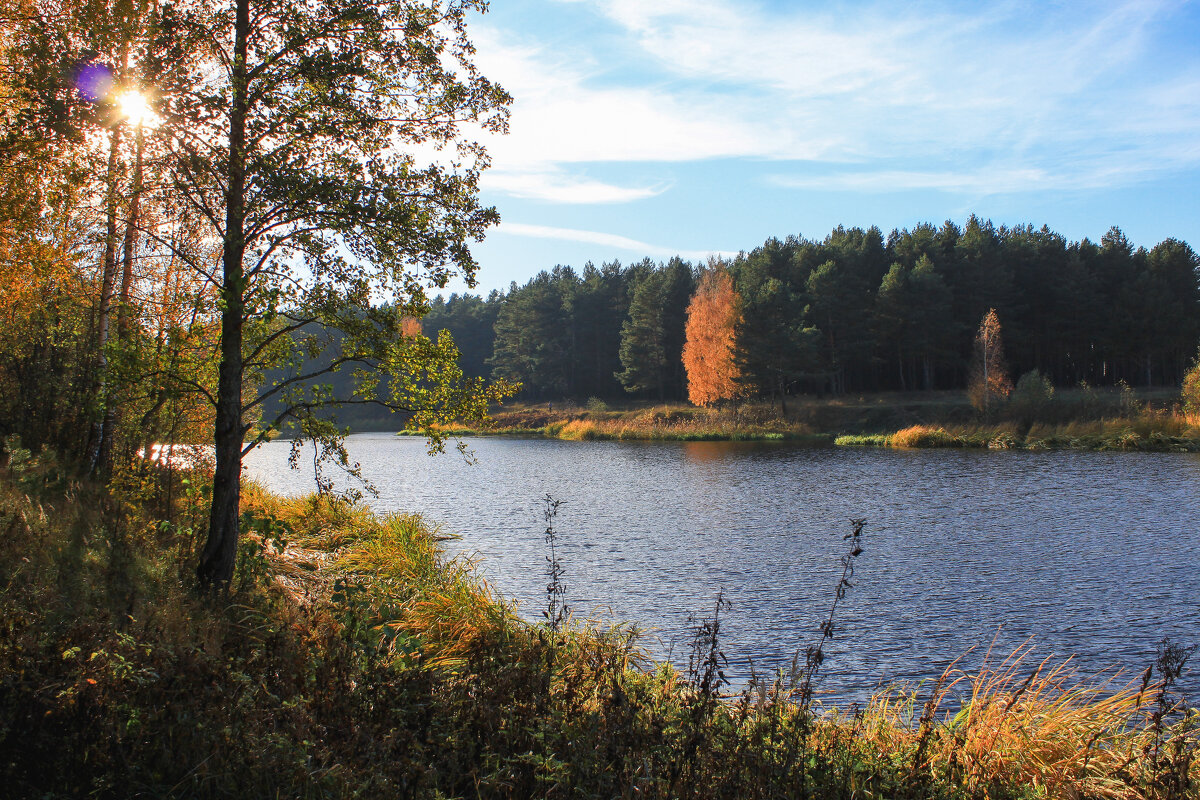 осень - Владимир Зеленцов