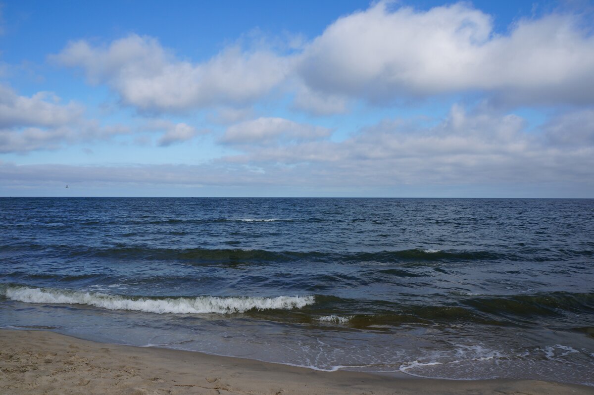 ~ ~ ~ - Алёна Савина