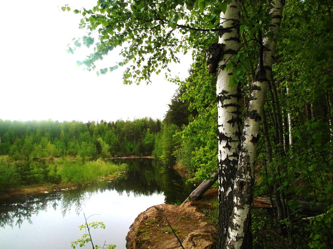 пейзаж - Владимир 
