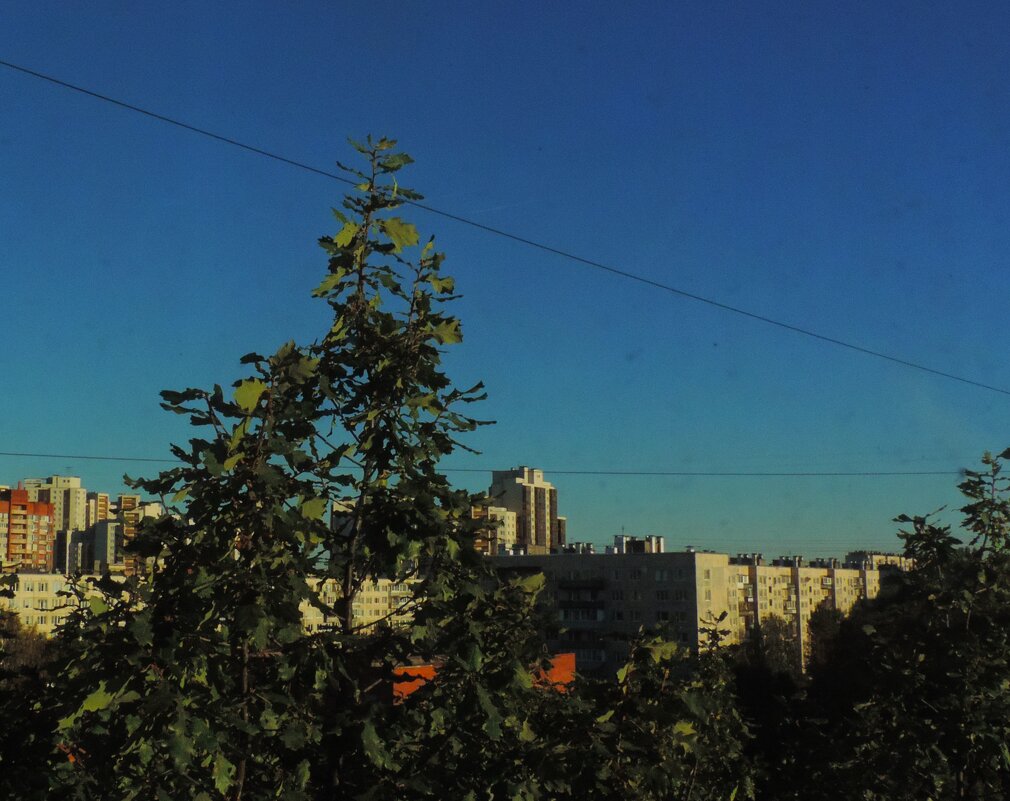 Ясный вечер в Купчино... - Юрий Куликов