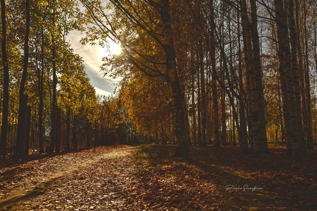 природа - סּﮗRuslan HAIBIKE Sevastyanovסּﮗסּ