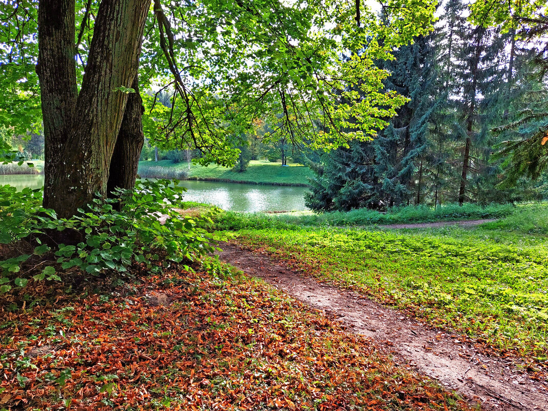 Осень в Павловске - Ирина Румянцева