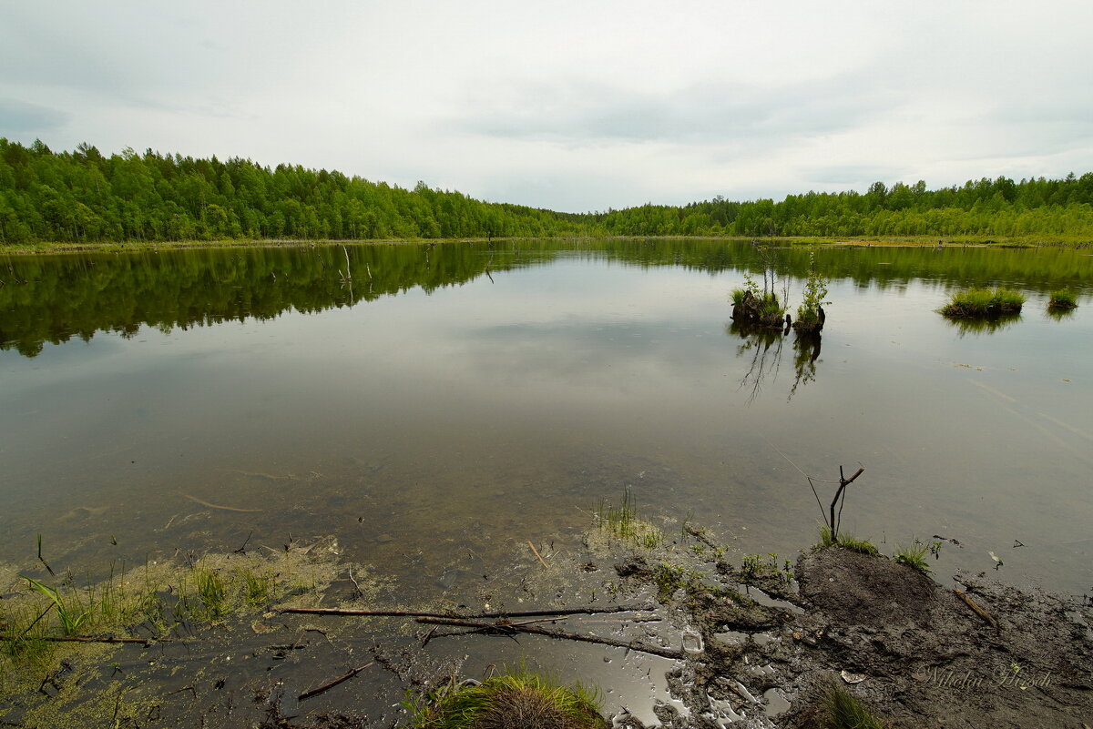 Карасятник... - Николай Гирш Карасятник... - Николай Гирш