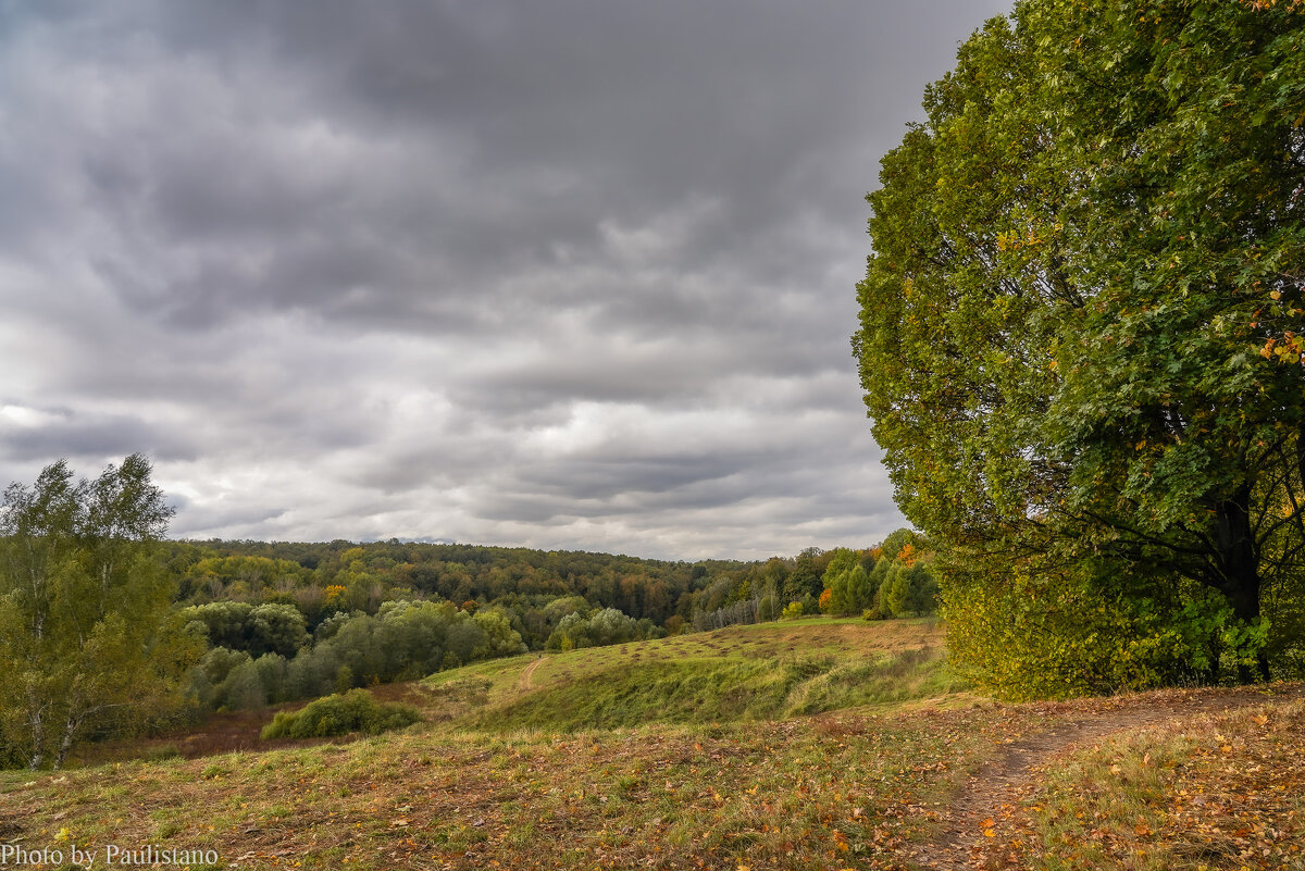 Сентябрь в Царицыно... - Владимир Жданов