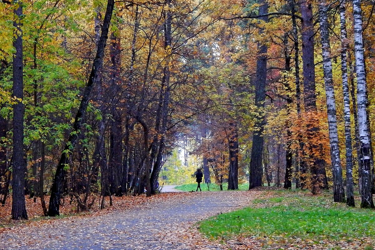 Осенний этюд - Сергей Швечков