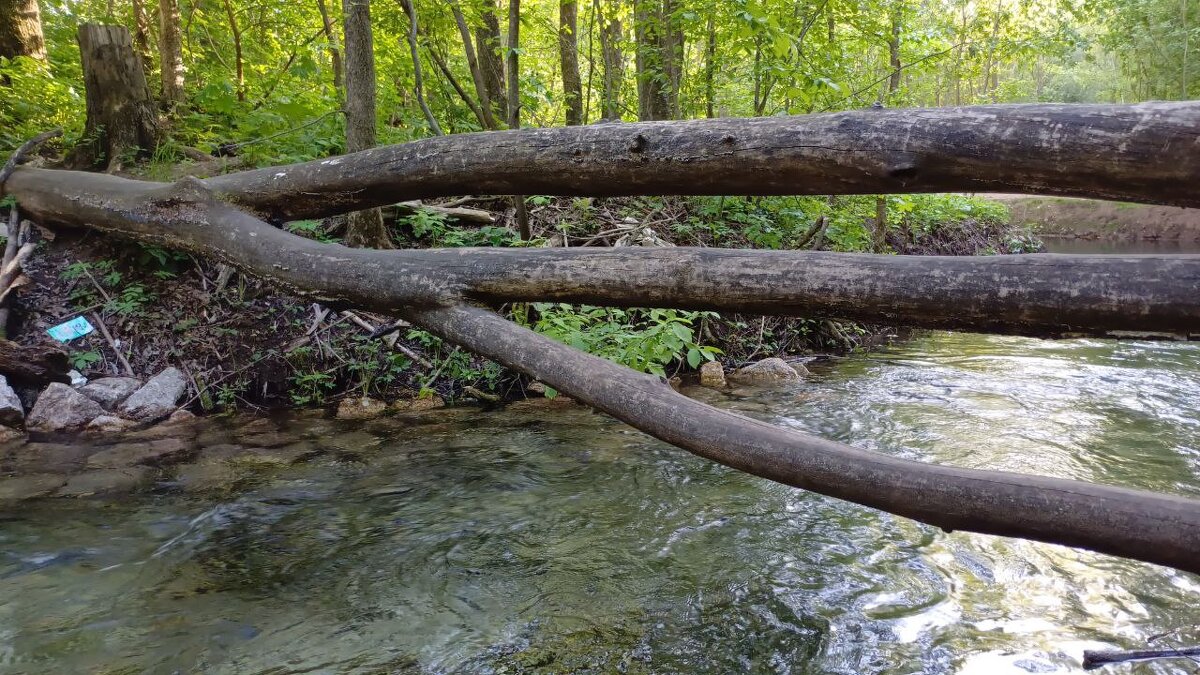 Горные реки - Рустам Кашапов