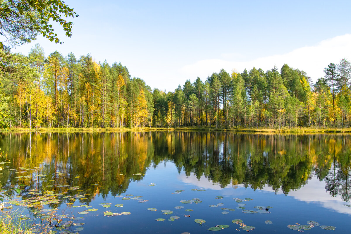 Большое Шелексозеро - Марина Никулина Большое Шелексозеро - Марина Никулина