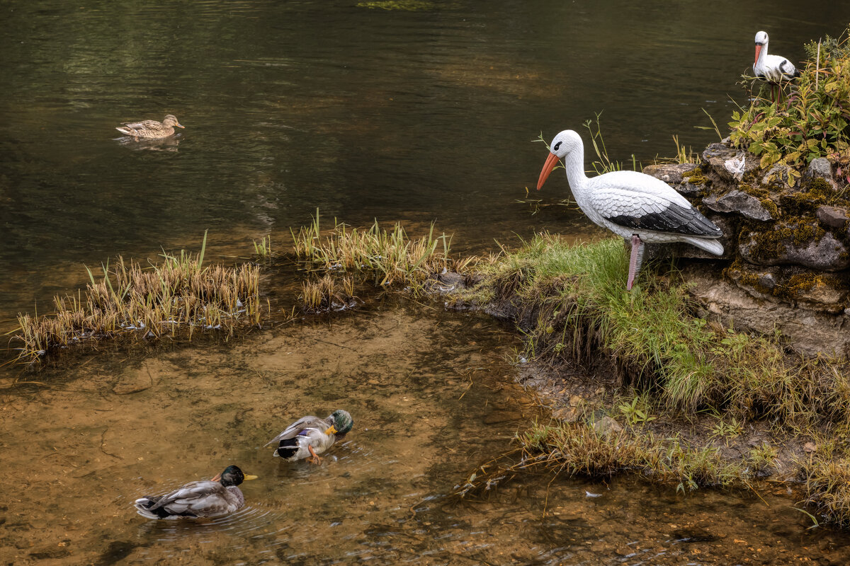Мимоходом из Тверской - Владимир Колесников