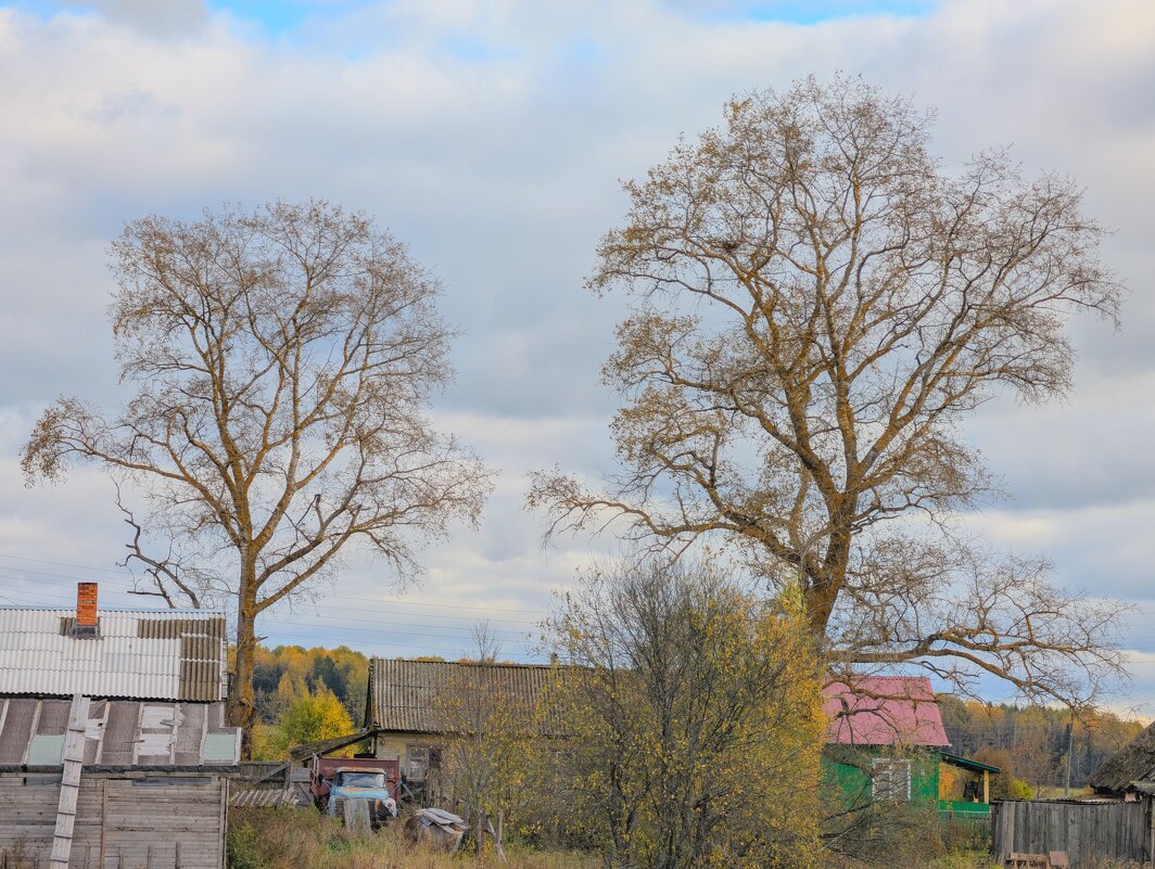 Осенний день - Анастасия Логинова