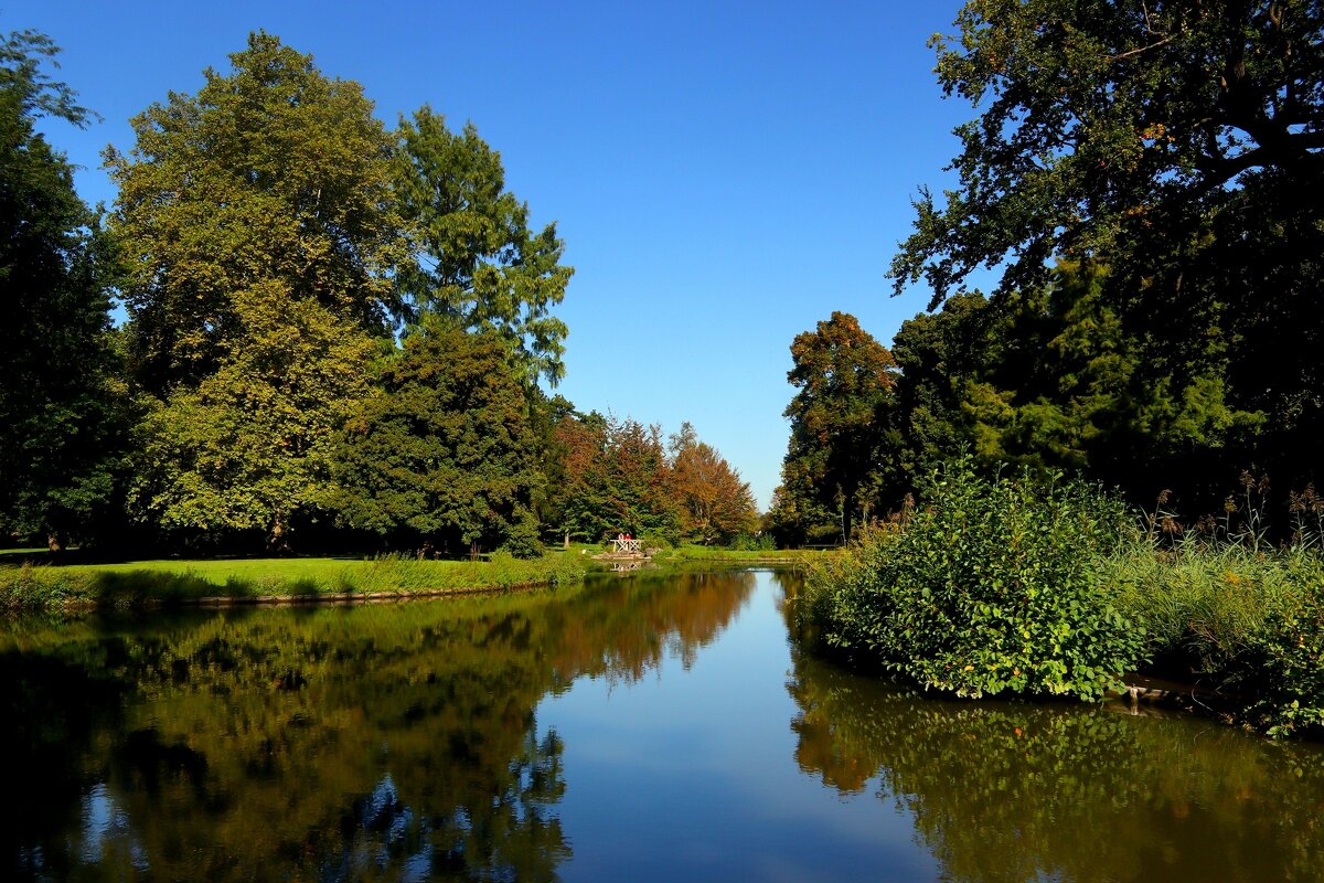 В сентябре - Юрий. Шмаков