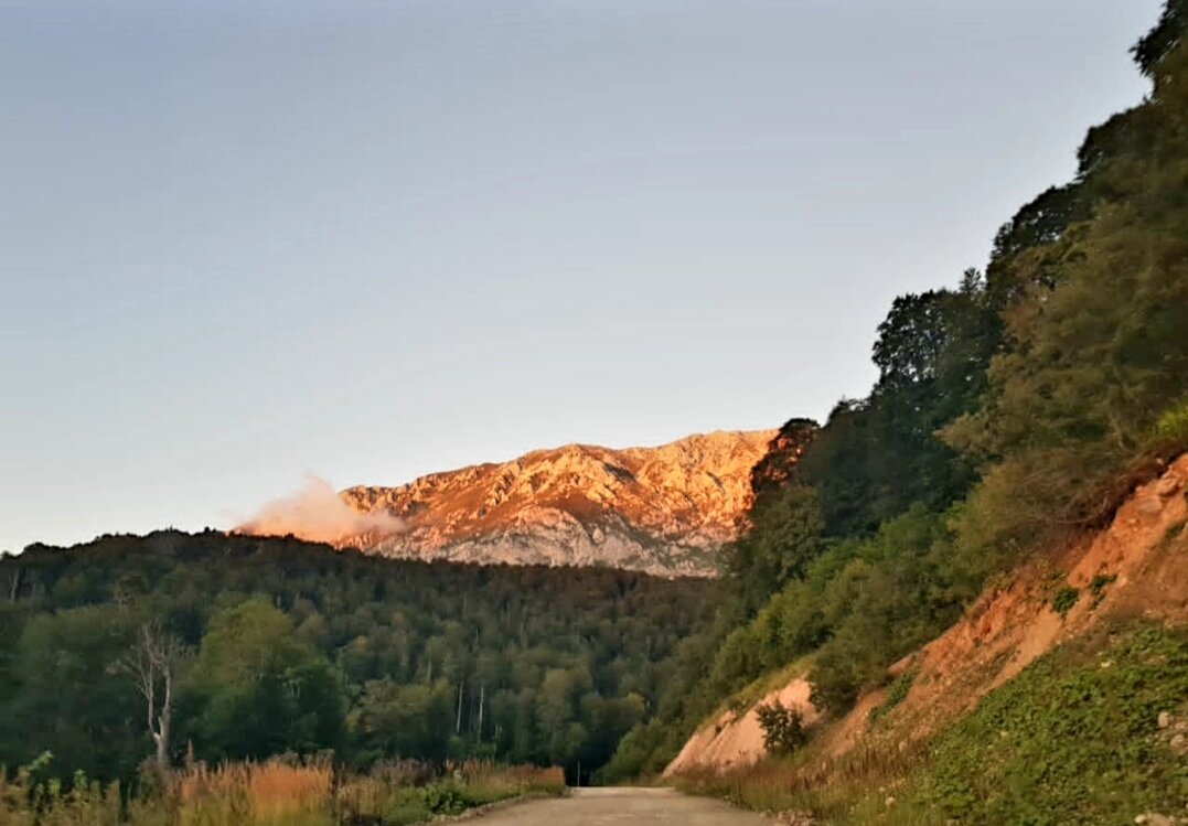 ГУАМСКОЕ УЩЕЛЬЕ - Tata Wolf