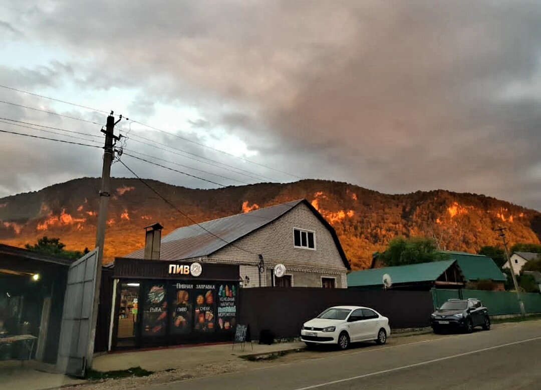 ГУАМСКОЕ УЩЕЛЬЕ - Tata Wolf