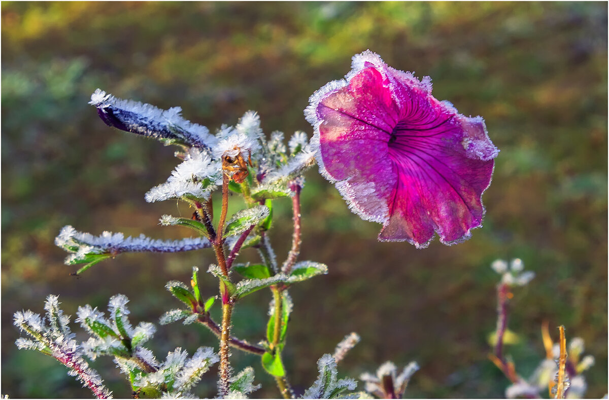 Вот и лето прошло... - Валентин Котляров