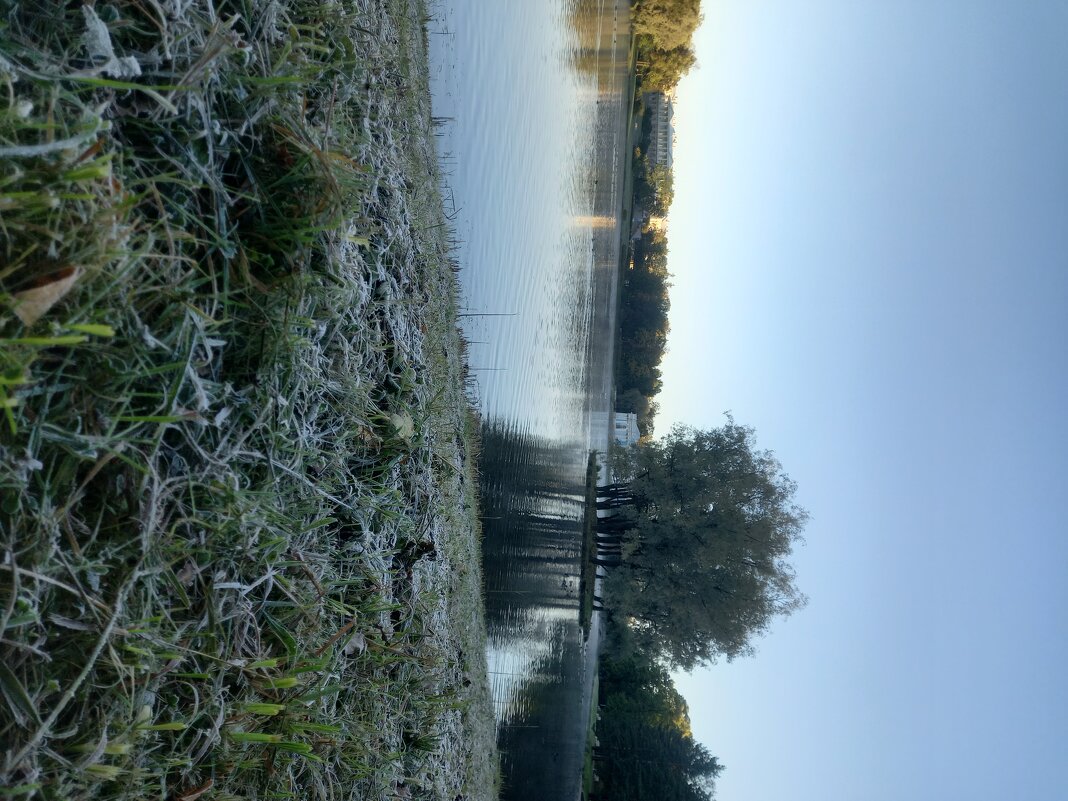 Заморозок - Сапсан 