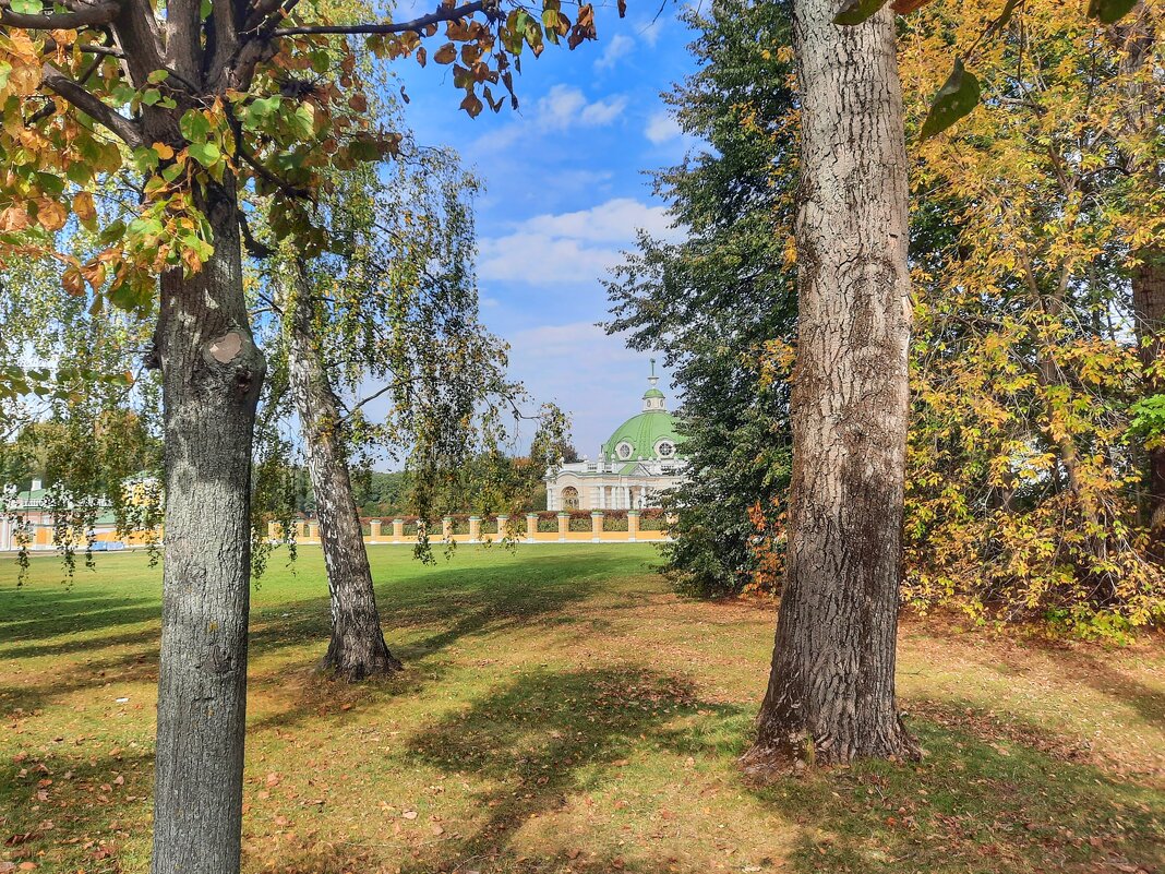 Осень в Кусково - Irene Irene