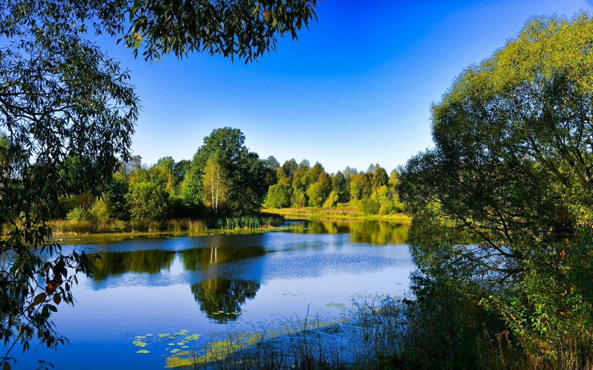 Смоленская осень в конце сентября. - Милешкин Владимир Алексеевич 