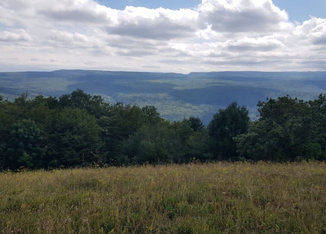 ЛАГОНАКИ - Tata Wolf