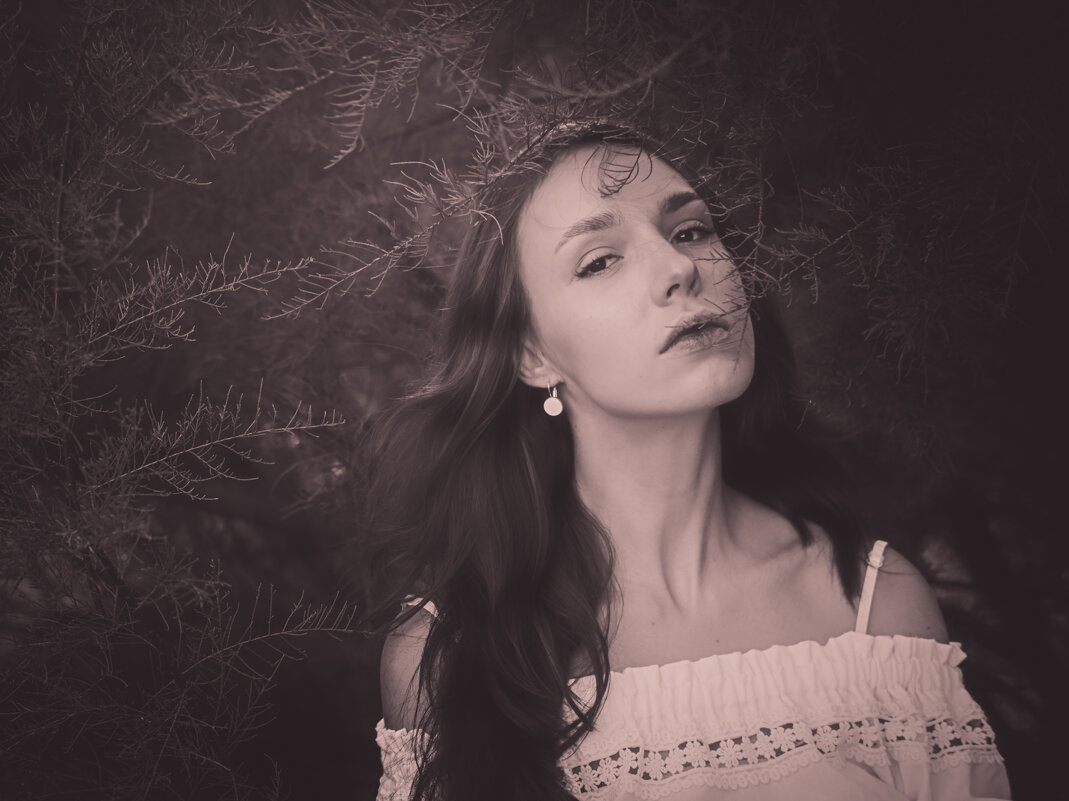 Портрет и хвоя - Максим 