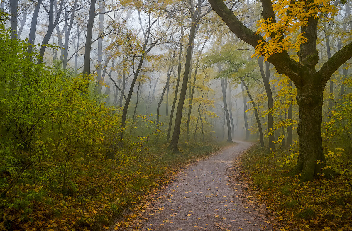 *** - Aleksey Afonin