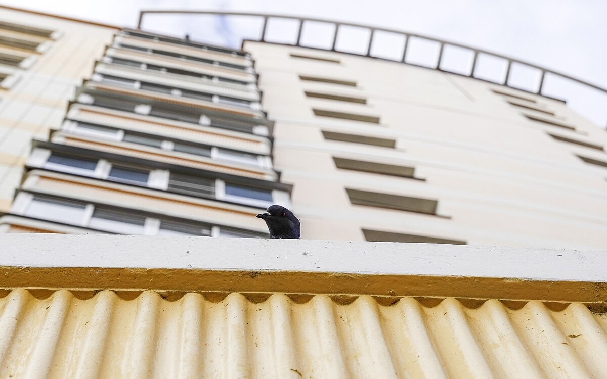 Кто тут? - Валерий Иванович