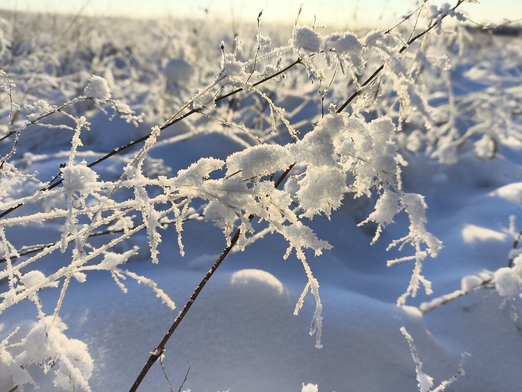 Зима - Anna Ivanova