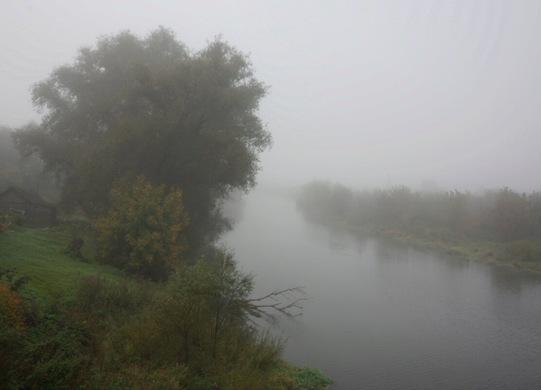 Туманное утро - Алексей Смирнов