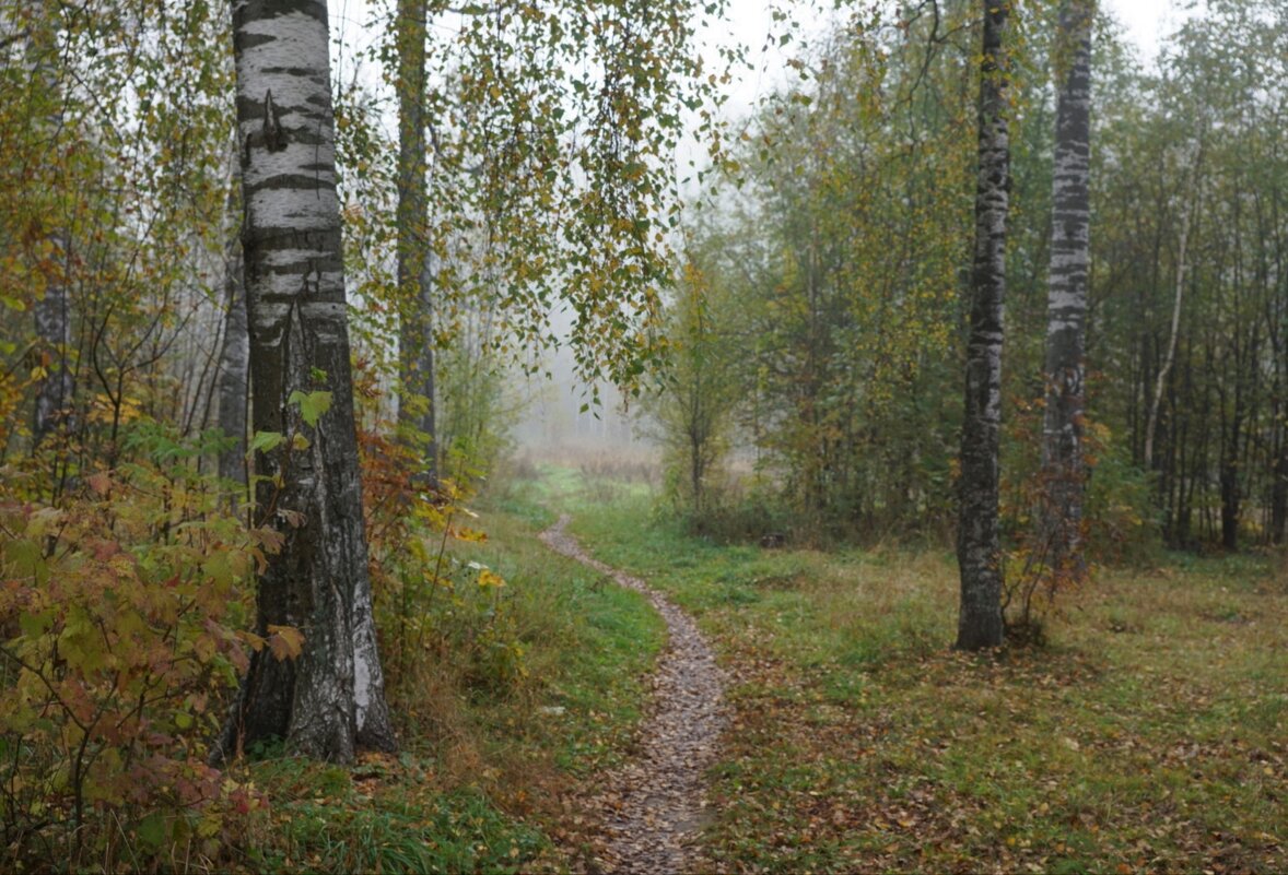 Тропинка - Алексей Смирнов