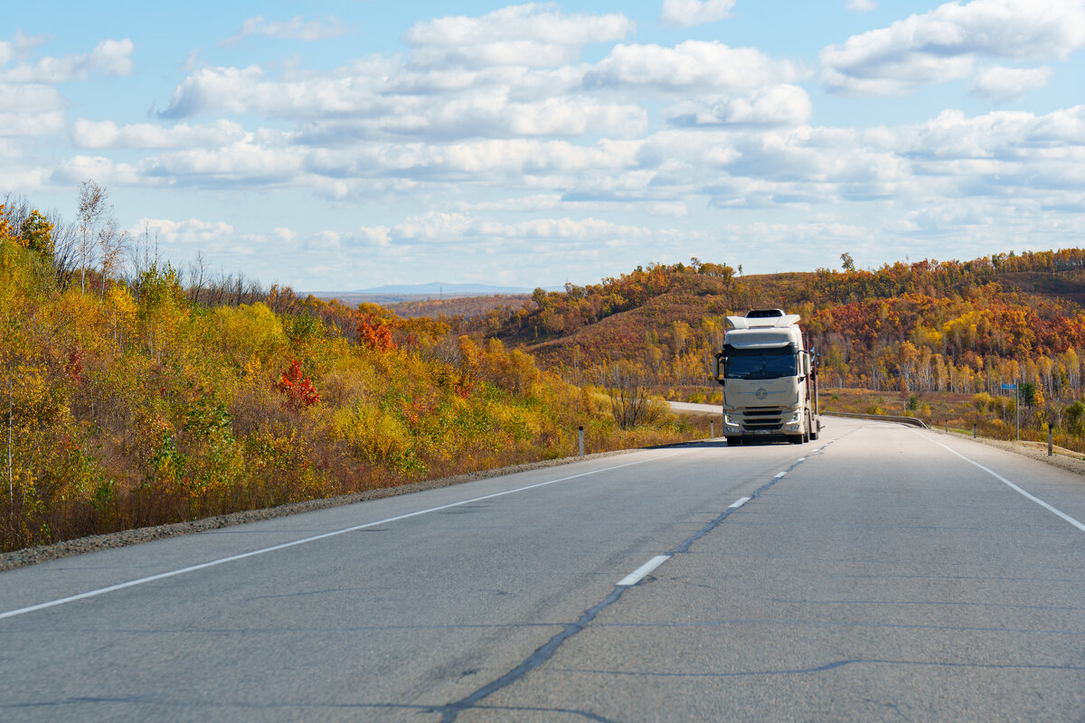 Дорога на Восток... - Виктор Фельдшеров