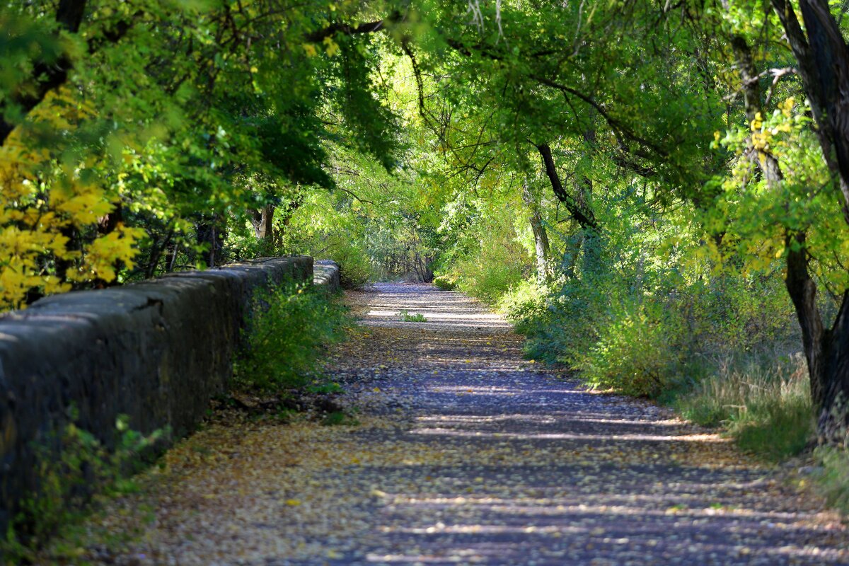 В парке - Андрей Л. В.