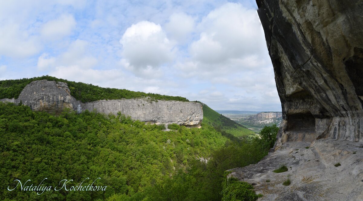 Природа Крыма - Amazing Cosmea