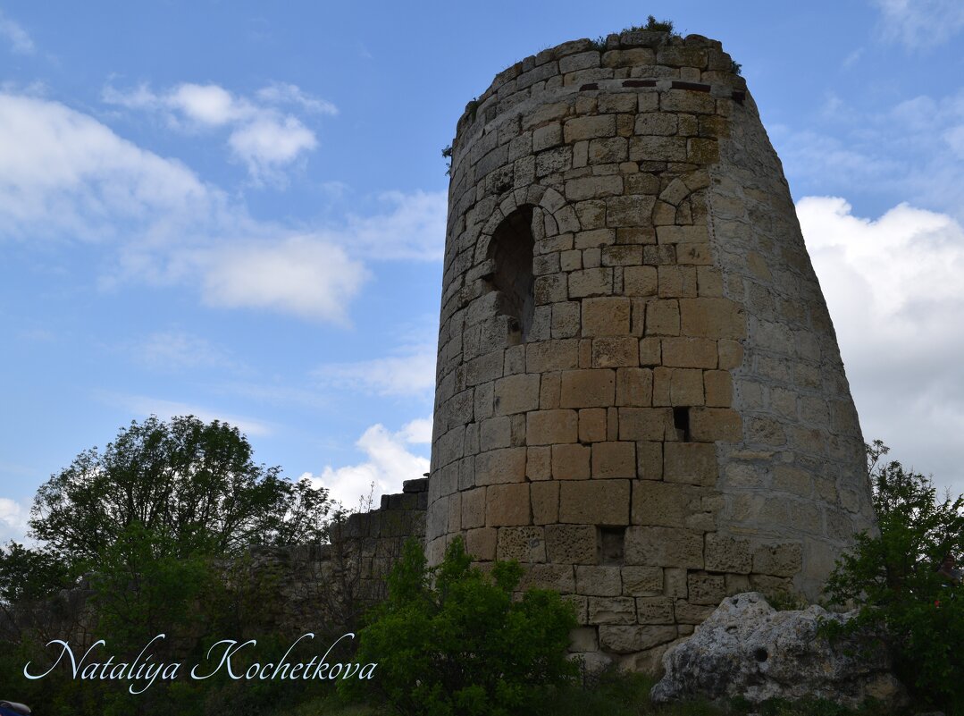 Природа Крыма - Amazing Cosmea
