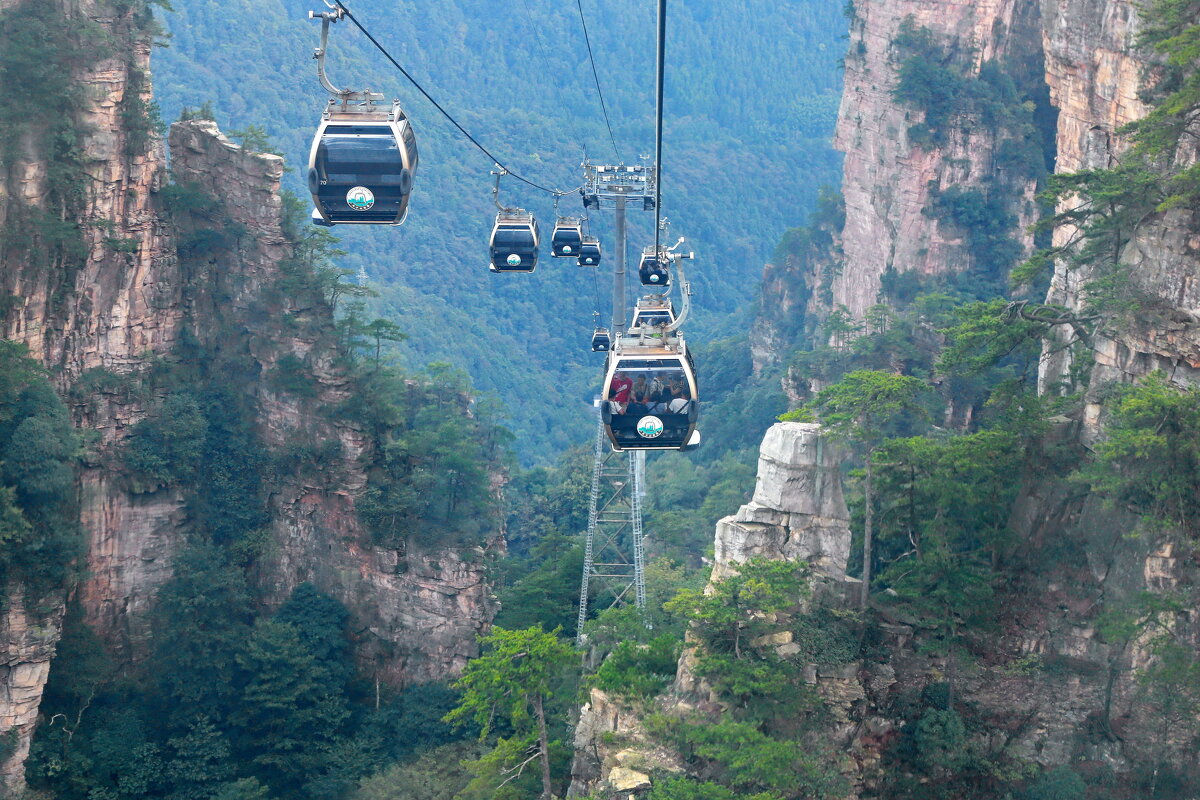 путь к парку Аватар - Andrey Bragin 