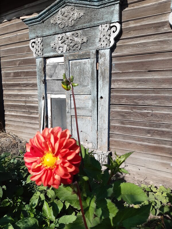 Старые дома, как люди - Галина Минчук