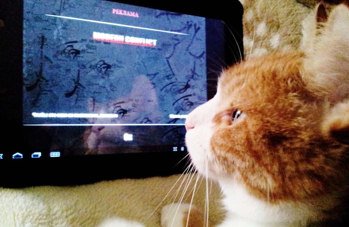 умный - Владимир 