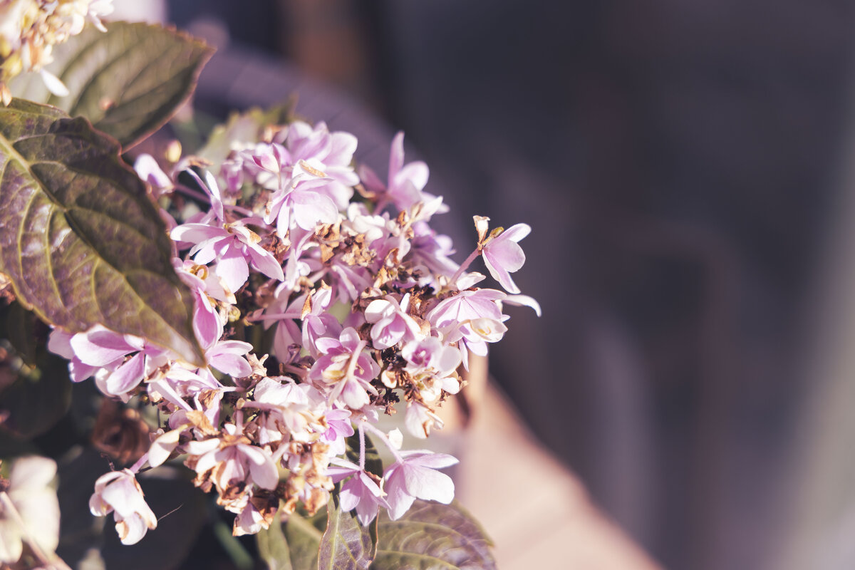 Настроение - осень. - Андрей Город