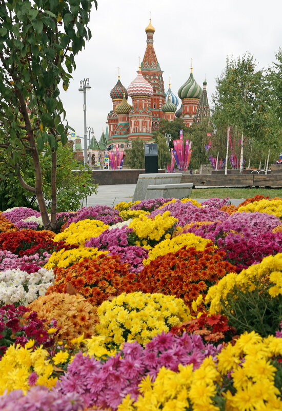 Зарядье 20 сентября - Михаил Бибичков