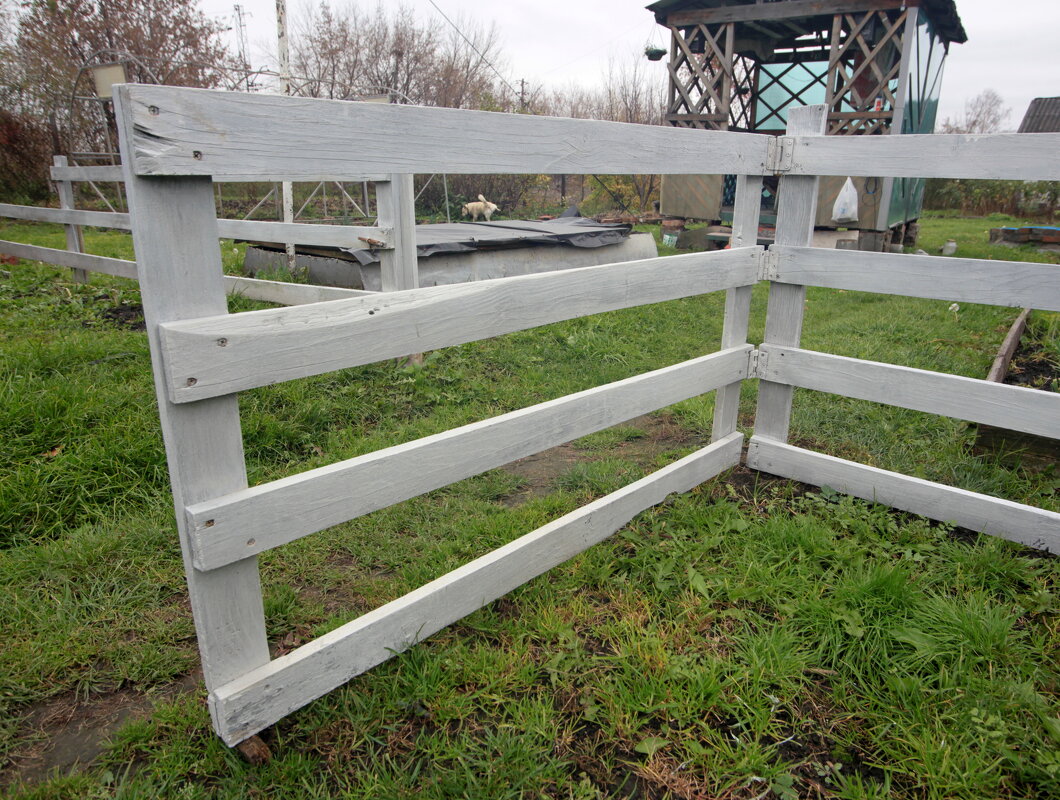 Кузя... - Андрей Катков