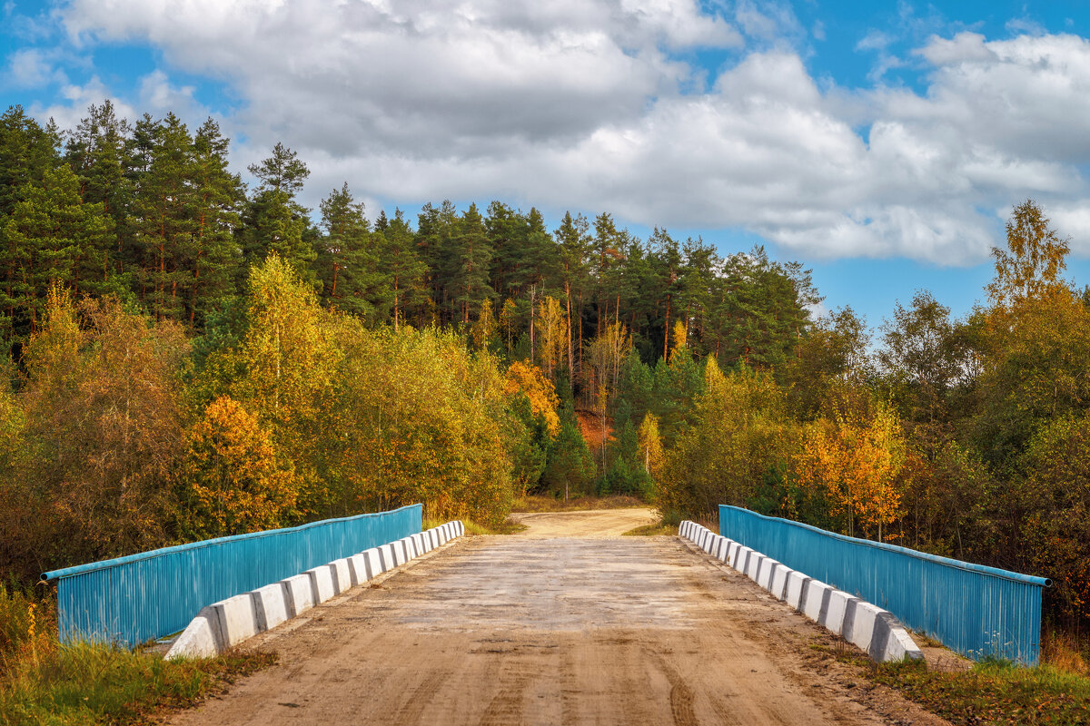 Осенняя дорога - Владимир Колесников