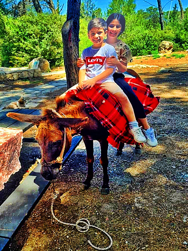 БЕЗ   МОРКОВКИ   НЕ   ИДЁТ - Анатолий Малобродский