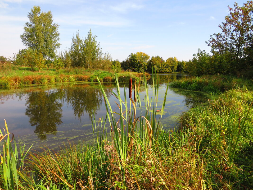 На речке - Андрей Снегерёв
